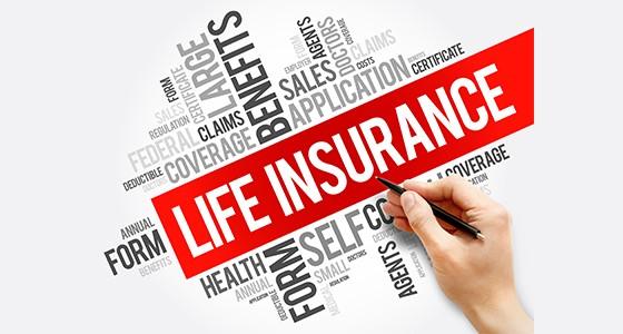 How to Pick the Right Life Insurance in 2025 Life Insurance