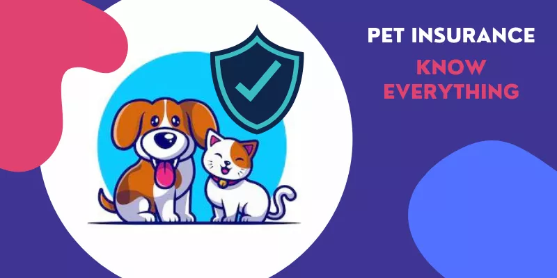 Pet Insurance Costs
